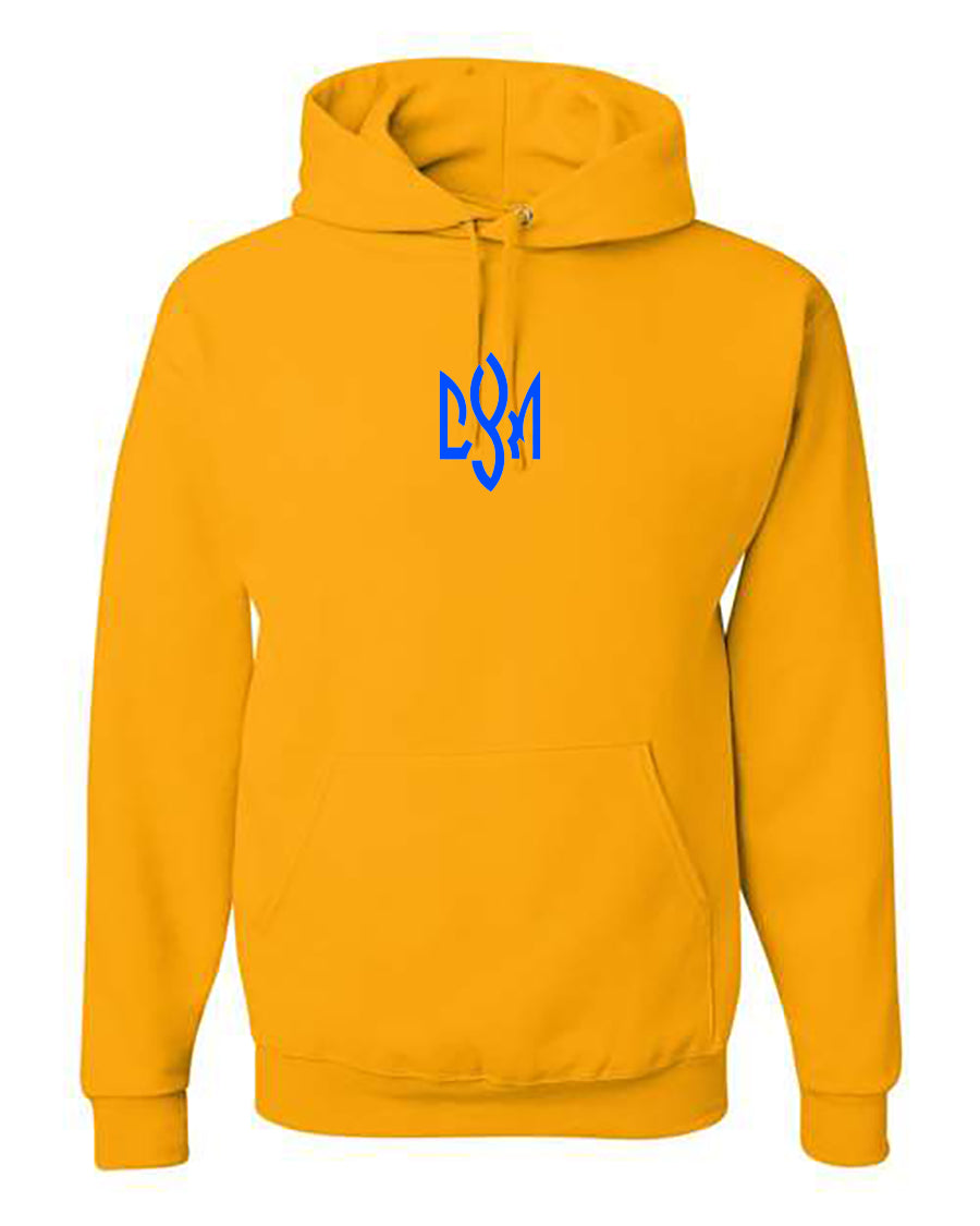 Youth Softstyle® Midweight Hooded Sweatshirt